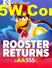 Bonus Features AA555